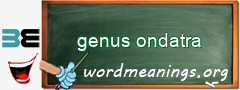 WordMeaning blackboard for genus ondatra